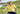 Neal Shipley x Jack Nicklaus Apparel