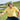 Neal Shipley in a Nicklaus Victory Yellow Polo Shirt