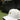 Golden Bear Performance Airflow Hat