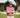 Red Root Feeder Stripe Polo