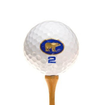 Nicklaus Blue Golf Balls - 1 Dozen